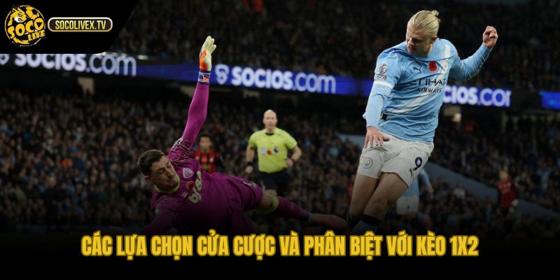 Các lựa chọn cửa cược và phân biệt