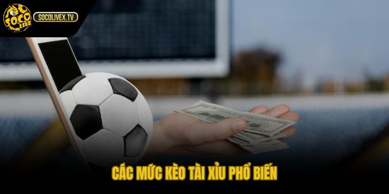 Mức 2.0 2.25 2.5 2.75 và cách chia kết quả