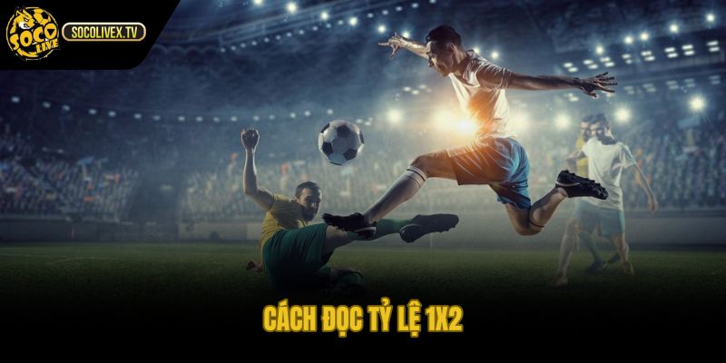 Kèo 1x2 là gì qua tỷ lệ và xác suất ngầm