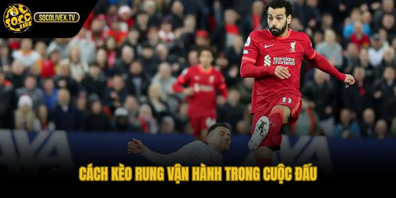 Kèo rung là gì qua biến động theo từng phút