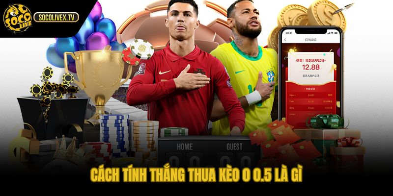 Kèo 0 0.5 là gì quy tắc hòa nửa thắng nửa thua