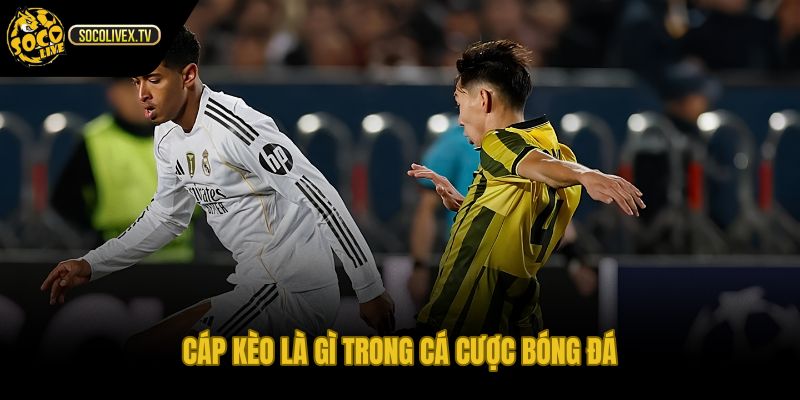 Cáp kèo là gì qua thỏa thuận cược rõ điều kiện