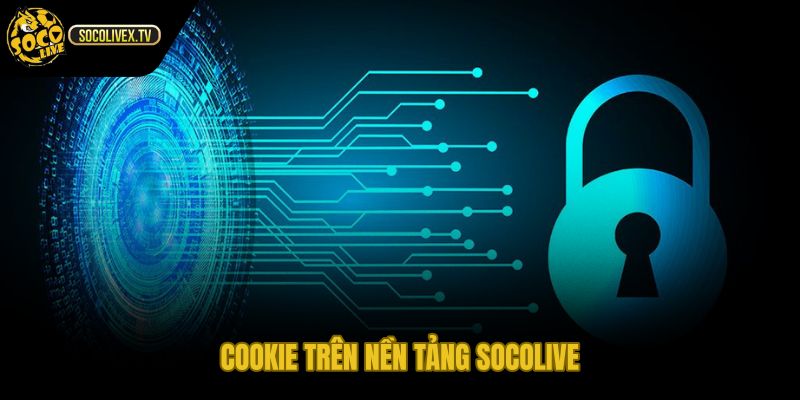 Cookie Socolive trong chính sách bảo mật phiên truy cập