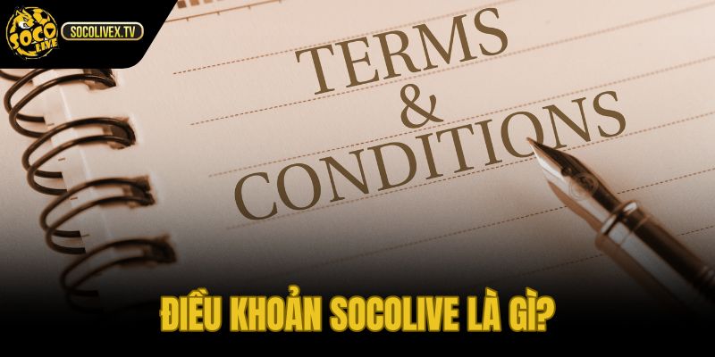 Điều khoản sử dụng Socolive phạm vi áp dụng và hiệu lực