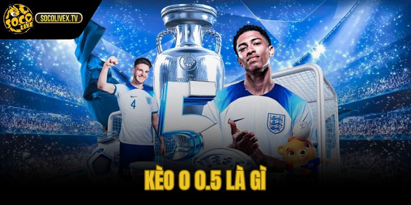 Kèo 0 0.5 Là Gì