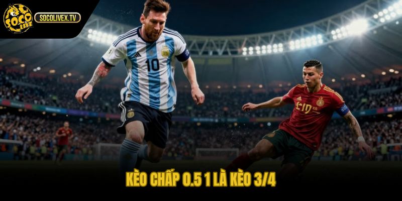 Kèo 3/4 và cơ chế chia đôi kết quả