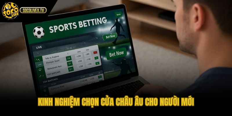 Kinh nghiệm chọn cửa châu âu cho người mới
