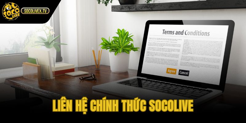 Điều khoản sử dụng kênh liên hệ phản hồi và xác minh