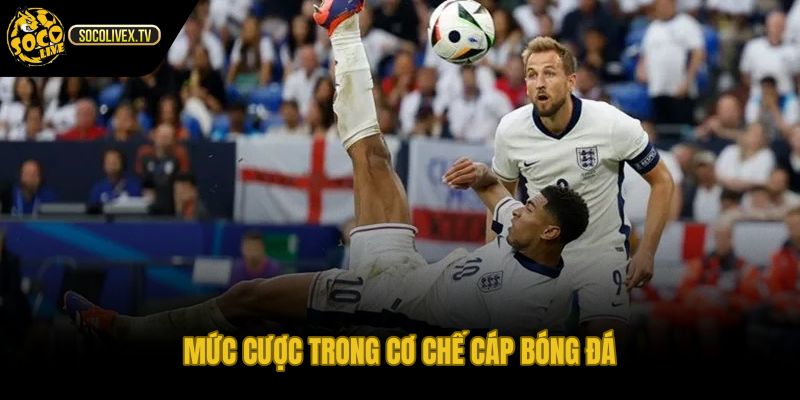 Cáp kèo là gì qua cửa cược chấp odds thanh toán