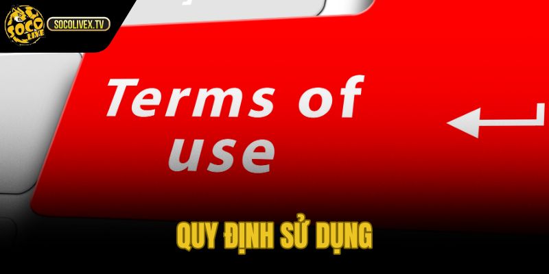 Điều khoản sử dụng quy định quyền truy cập và hành vi cấm