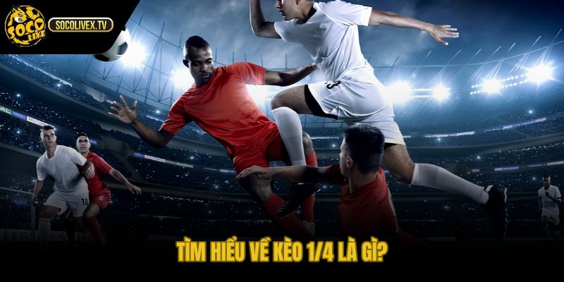 Kèo 1/4 là gì qua mốc 0.25 dễ nhầm