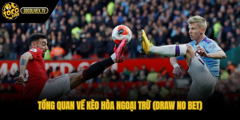 Tổng quan về kèo hòa ngoại trừ