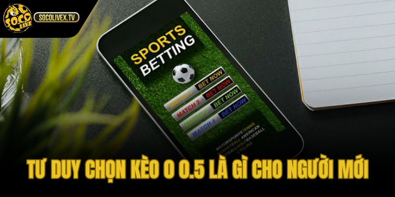 Kèo 0 0.5 là gì phong độ gần tỷ lệ cân nhẹ