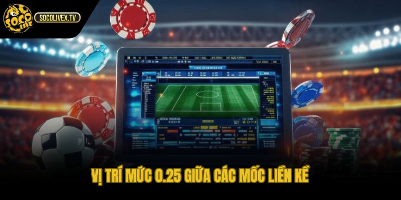 Mốc 0.25 điểm nối giữa đồng banh và nửa trái